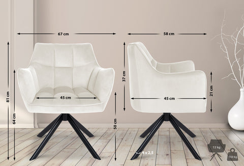 Dining chair Swing velvet cover Dining chair Swing velvet cover